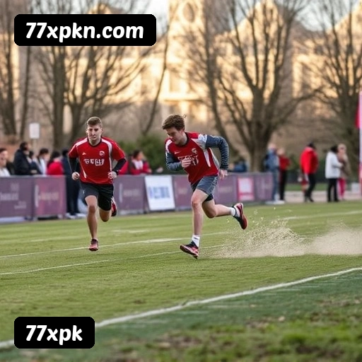 Níveis do programa VIP da 77xpk